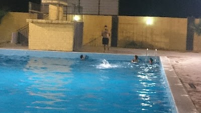 Photos of منتجع قصر النخيل