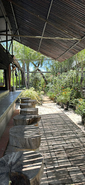 Café Escondido by null