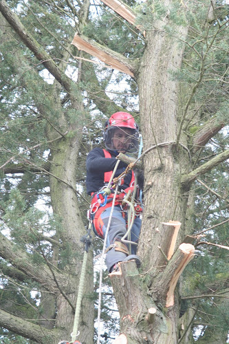 S.P.R Mc Gowan Tree services