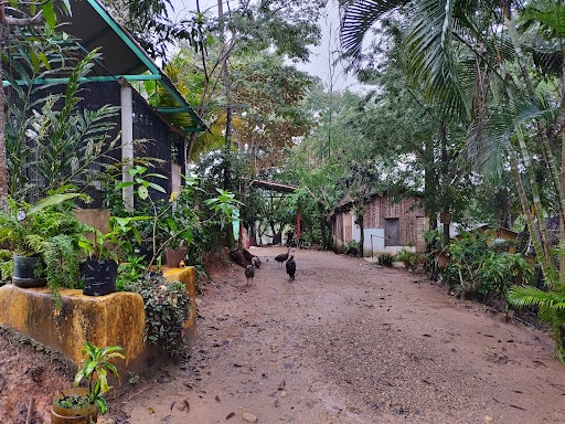 Rancho del Lago Ranchotel Ecologico Gallery - Mexico