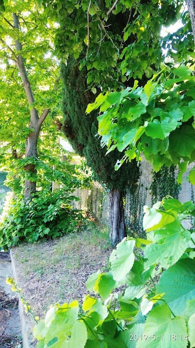 Cimitero di Carpe