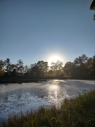 Sand Run Picnic Area - Thumbnail