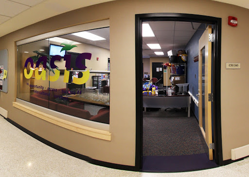 Multicultural Affairs - Visual