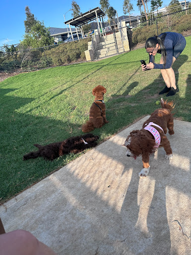 Emerald Hills Dog Park - Thumbnail
