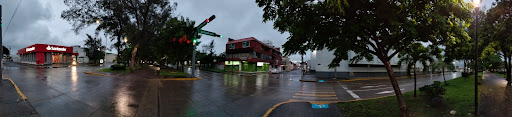 Parada TRV y AU (Ordinario Xalapa) - Thumbnail