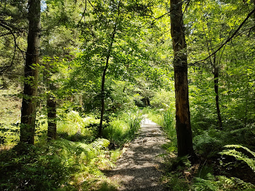 Cathedral State Park - Thumbnail