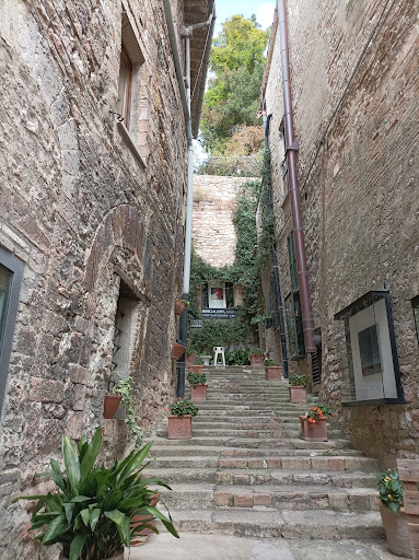 Associazione Pro Loco Assisi