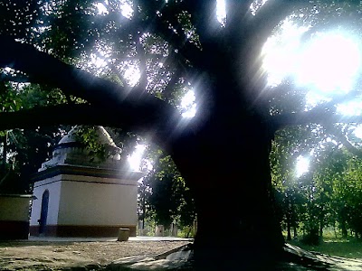 Photos of Sagarnath Mahadev Mandir,