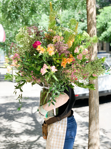 BIMFLOWERS - Visual