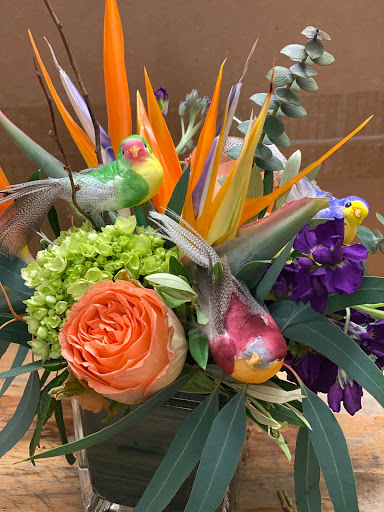 Stemmed Designs - Visual
