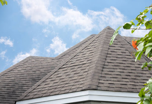Porter & Sons Roofing - Thumbnail