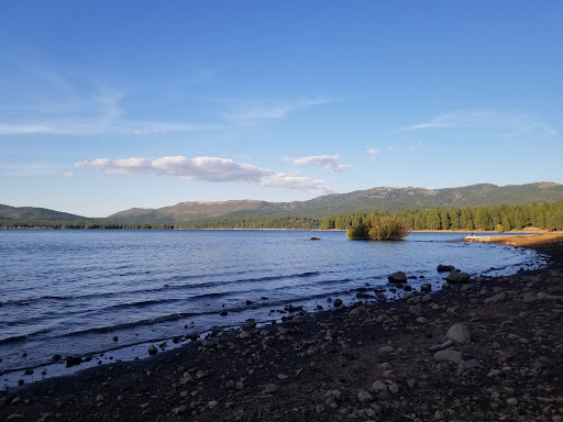 Logger Campground - Visual