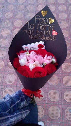 Floreria Dominguez - Visual