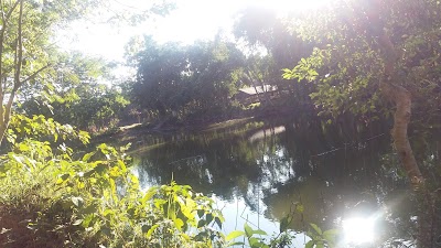 Photos of Rokkhit Dighi