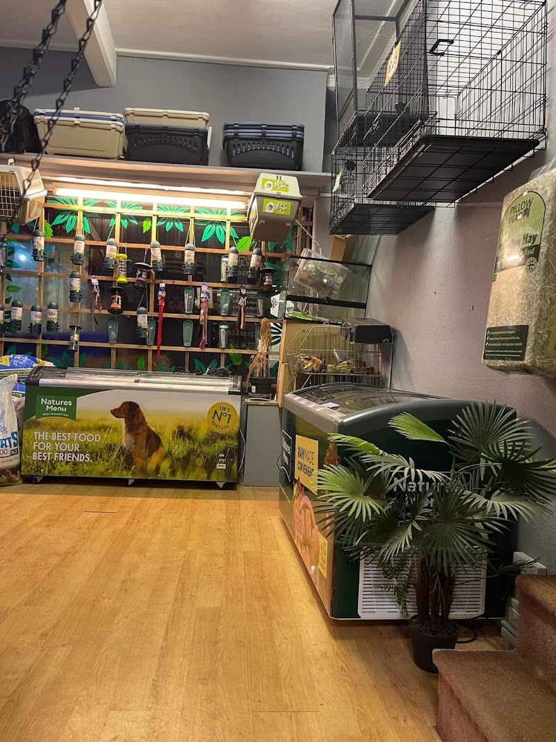 DM Pet Store photo 2