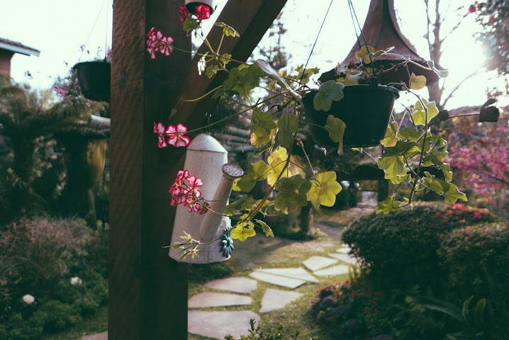 Pousada Jardim Secreto by null