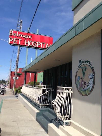 Belmont Pet Hospital