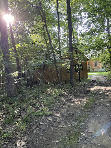 Yoga in the Woods - Thumbnail