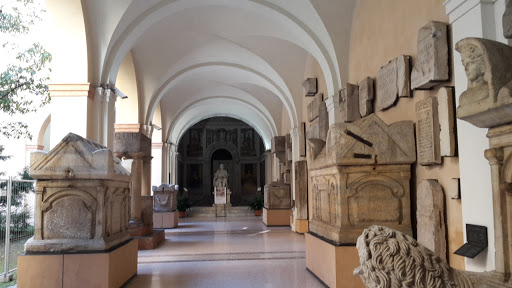 Biblioteca Poletti - Visual