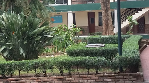 Instituto Anglo Mexican Middle and High School - Thumbnail