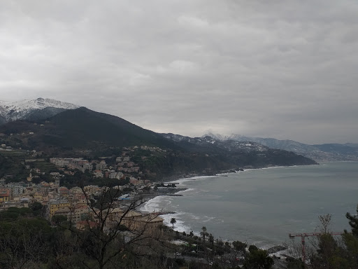 Comunione Pineta Di Arenzano - Thumbnail