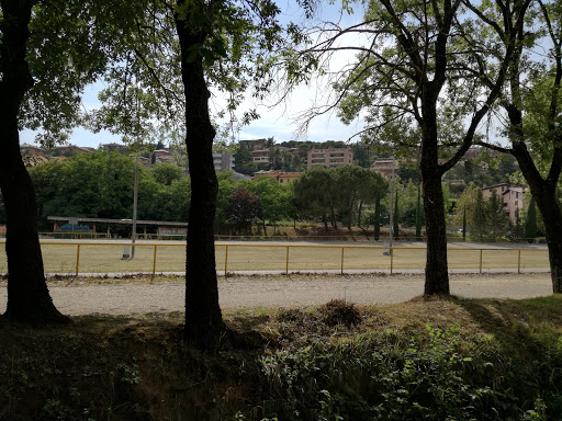 Pista Ciclabile Del Percorso Verde Gallery - Italy