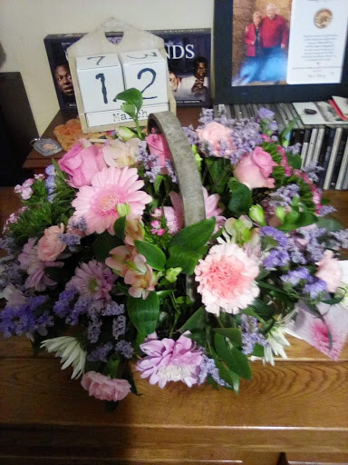 Daisys - Thumbnail