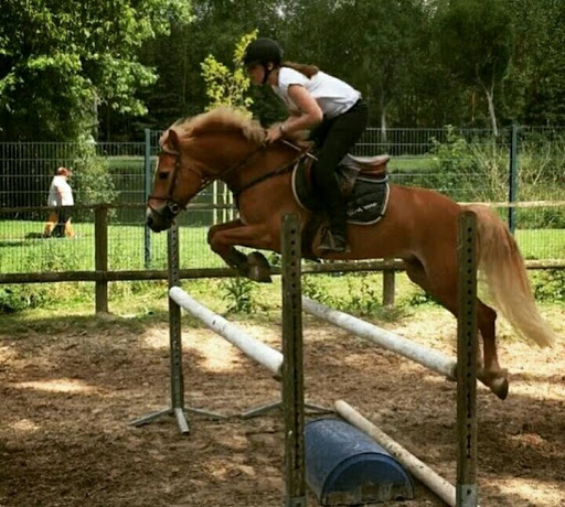 PONEYLAND DE LUISANT