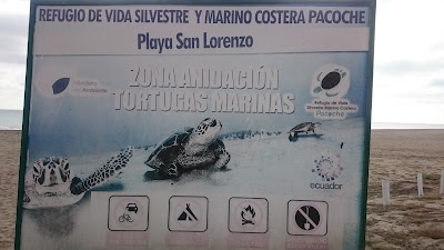Photos of Estadio San Lorenzo