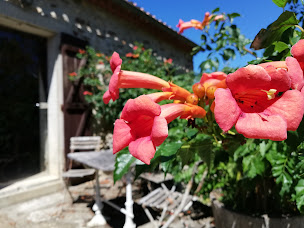 Photo n°13 de Domaine des Goudis à Bouisse (Lodge)