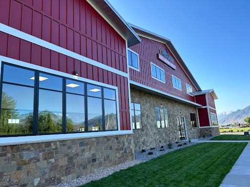 The Barn ETC - Visual