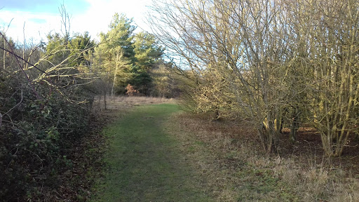 Lockinge Estates - Thumbnail