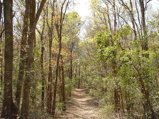 Buxton Woods Reserve