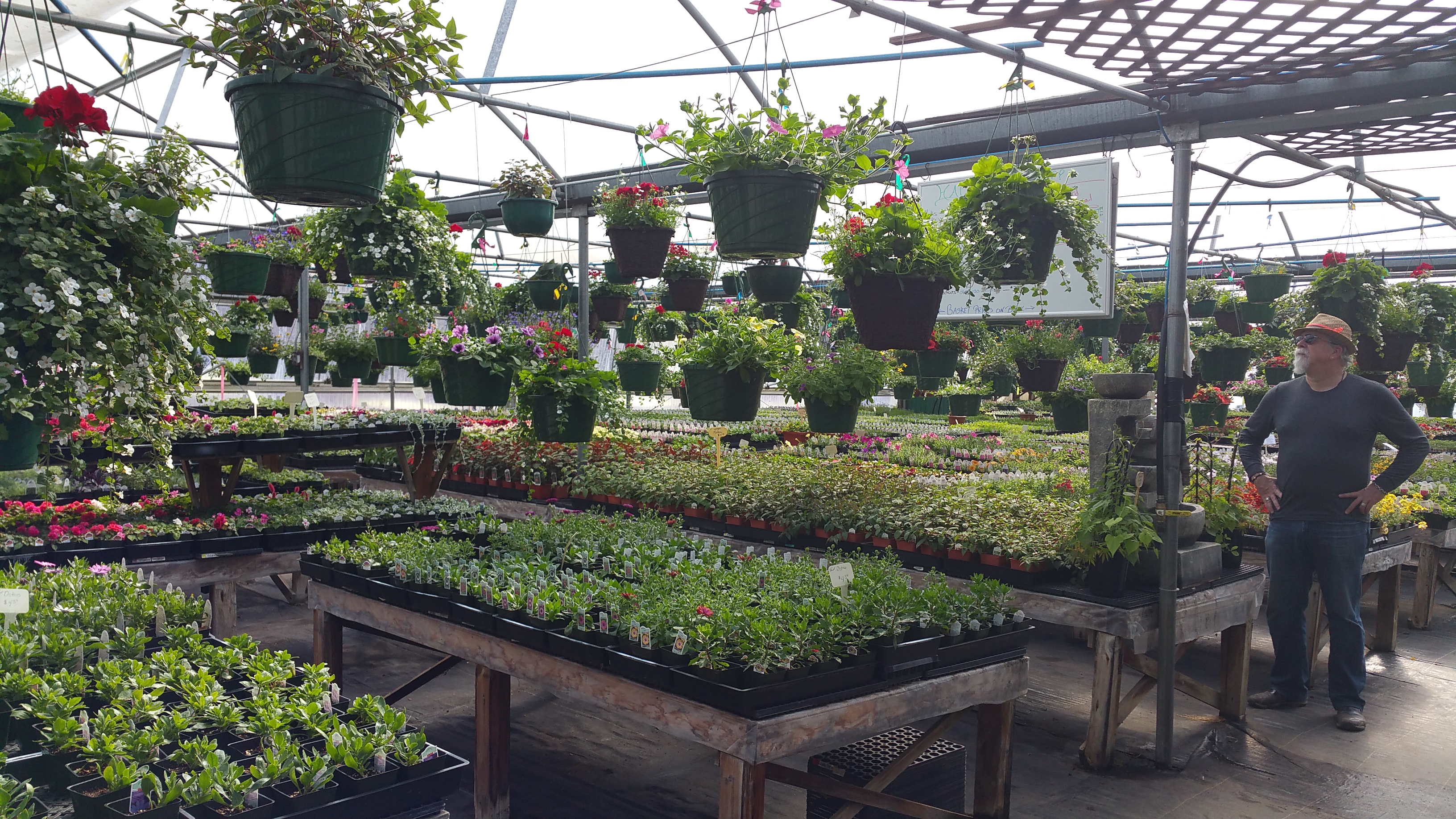 Perennial Gardens