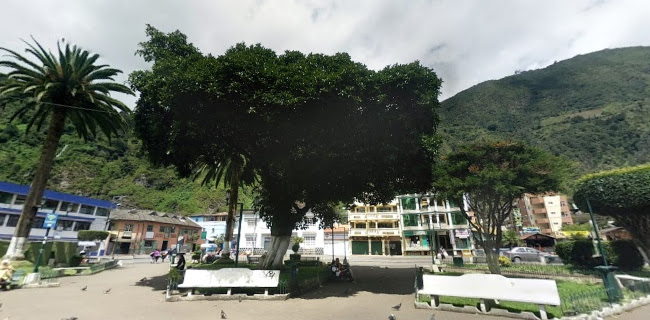 Horarios de Palomino Flores (Parque Central)
