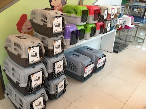 🕗 Zoo Pet Shop Riyadh opening times, 537, Takhassusi Street, tel. +966