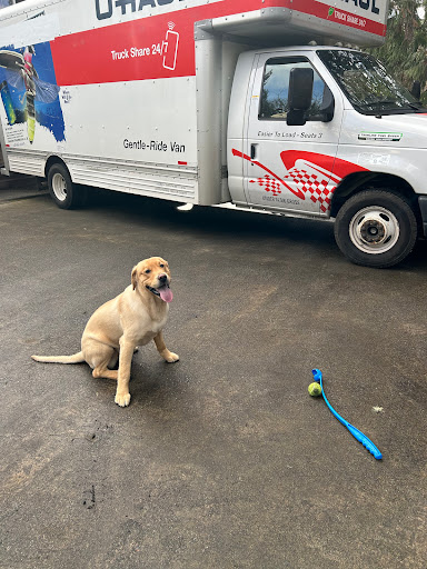 Moving Labor Plus - Visual