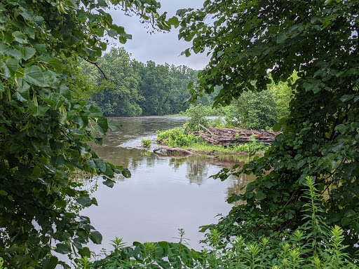 Virginia Forrest Recreation Area, Delaware Canal State Park - Thumbnail