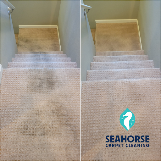 Seahorse Carpet Cleaning - Thumbnail