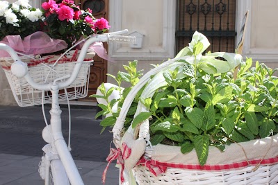 Photos of Decojardin Floristas