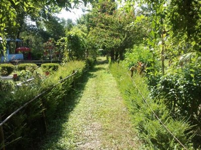Photos of Shantikunja Park