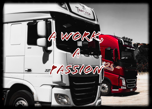 T SERVICE - Visual