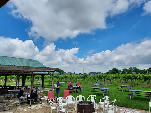 Matus Winery - Visual