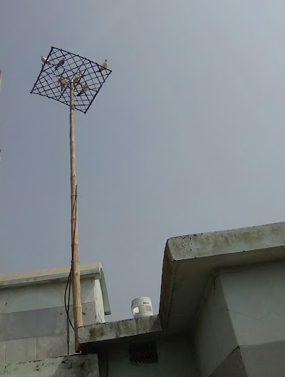 Photos of Qafi's Loft
