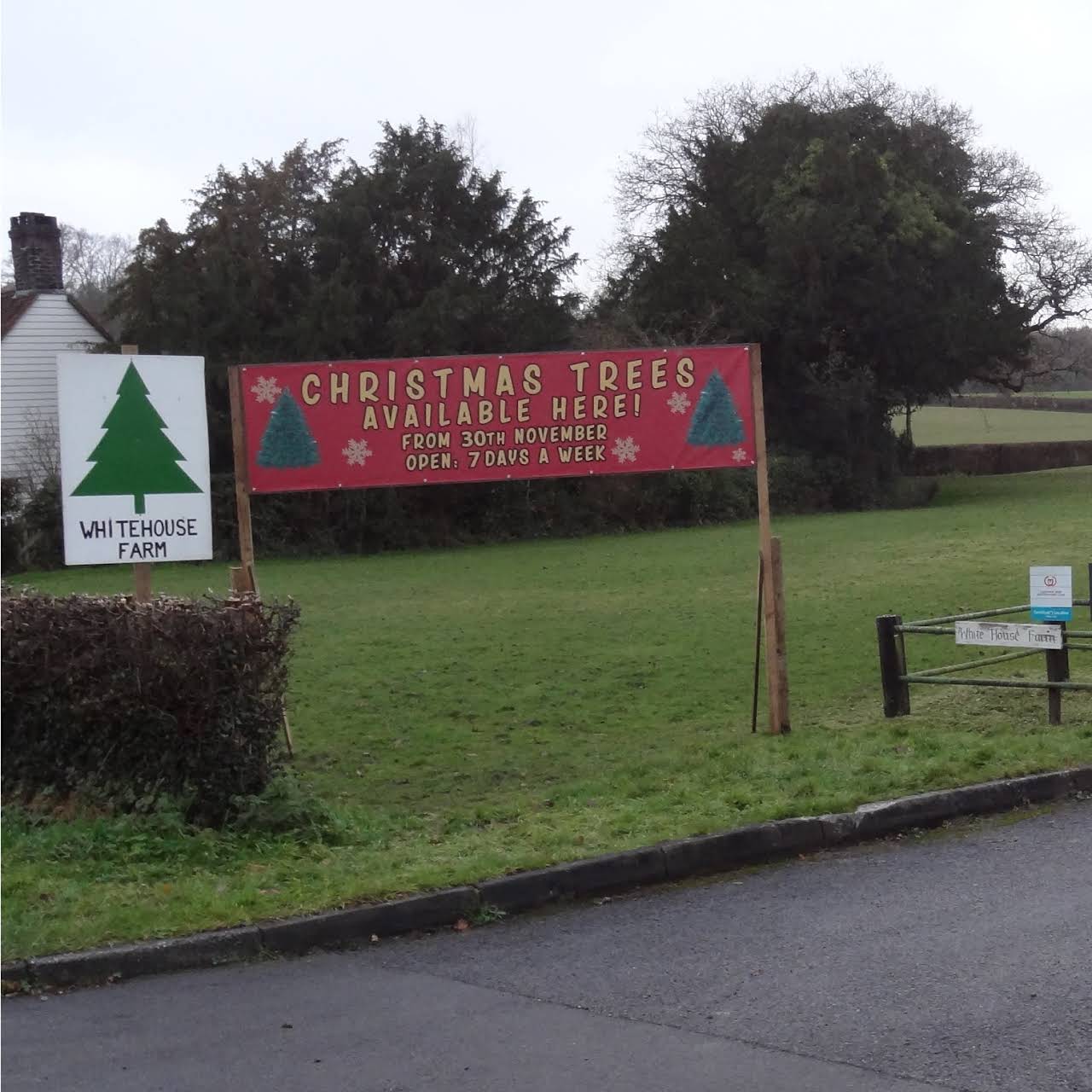 M Grant Christmas Trees Uckfield - Real Christmas Trees For Sale Uckfield | Formerly at Cysleys ...