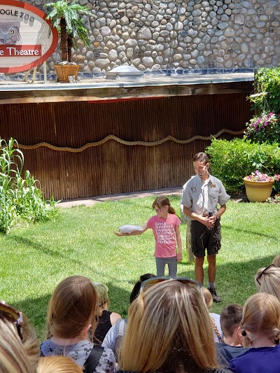 World of Flight Bird Show