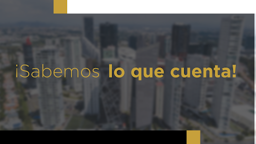 Bull Tax Contadores Públicos Logo