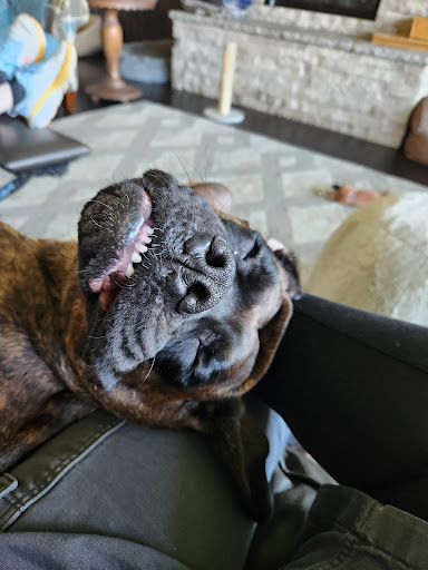 Molalla River Veterinary Center Gallery - United States