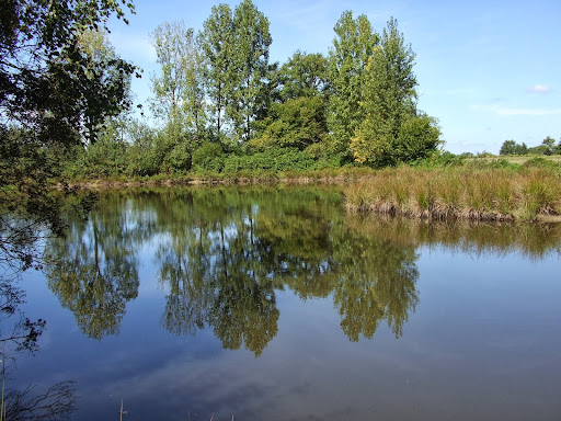 Vienne River Vacances - Thumbnail