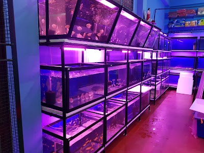 Photos of Sayurka Aquarium